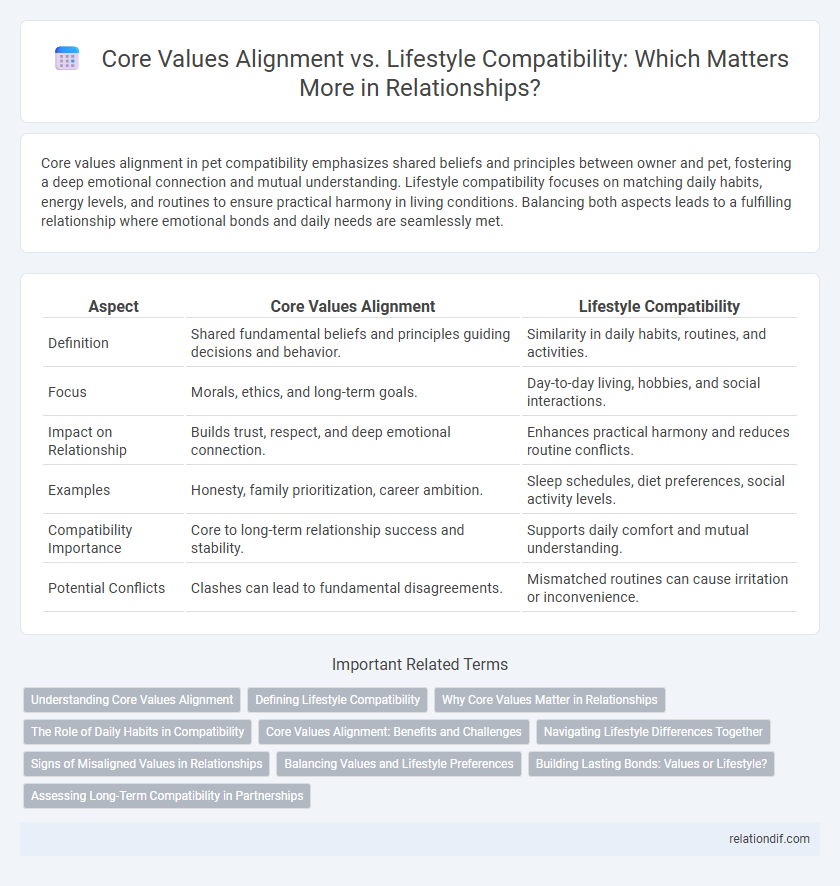Core Values Alignment vs. Lifestyle Compatibility: Which Matters More in Relationships?