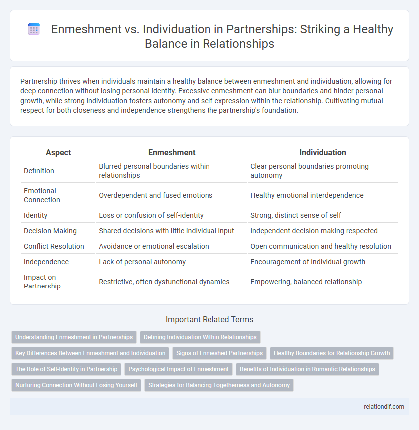 Enmeshment vs. Individuation in Partnerships: Striking a Healthy Balance in Relationships