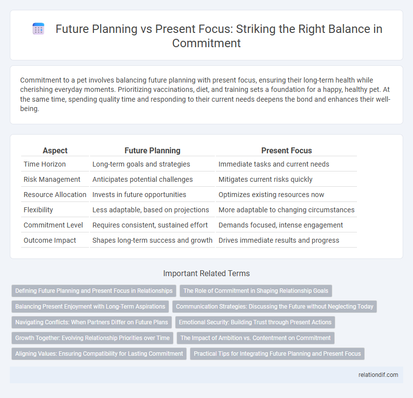 Future Planning vs Present Focus: Striking the Right Balance in Commitment