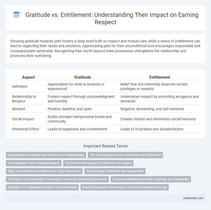 Gratitude vs. Entitlement: Understanding Their Impact on Earning Respect