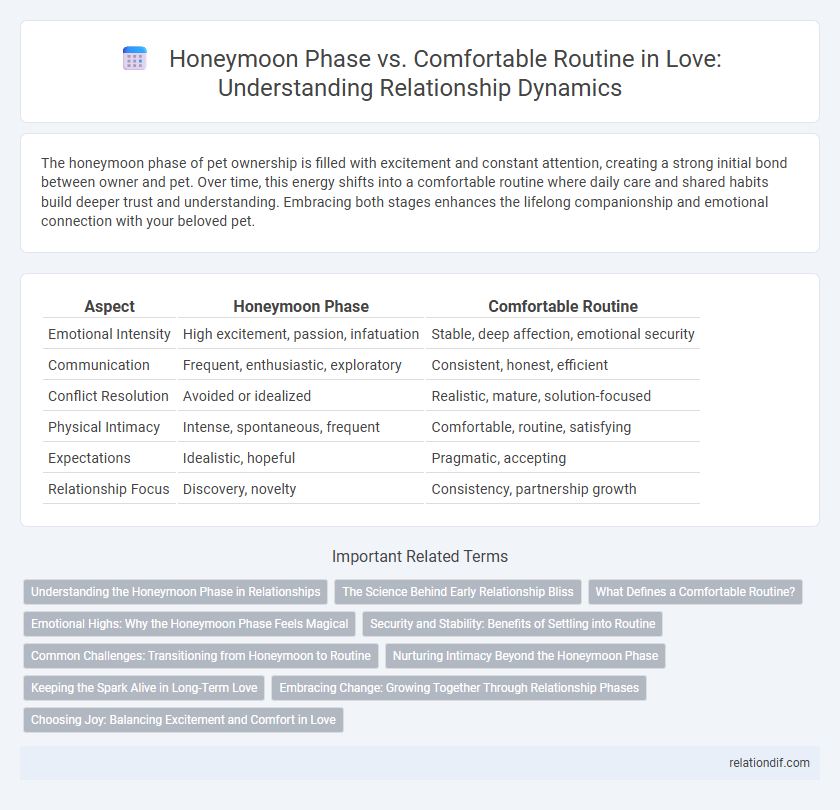 Honeymoon Phase vs. Comfortable Routine in Love: Understanding Relationship Dynamics
