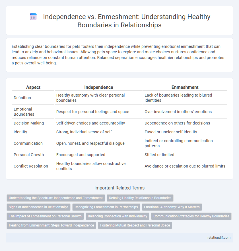 Independence vs. Enmeshment: Understanding Healthy Boundaries in Relationships