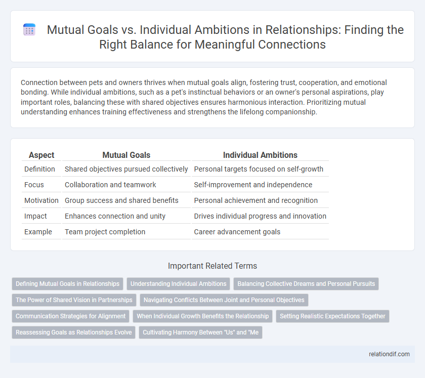 Mutual Goals vs. Individual Ambitions in Relationships: Finding the Right Balance for Meaningful Connections