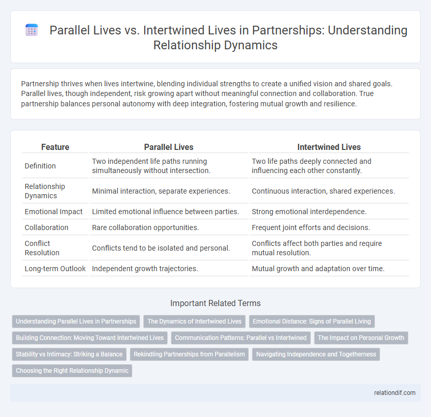 Parallel Lives vs. Intertwined Lives in Partnerships: Understanding Relationship Dynamics