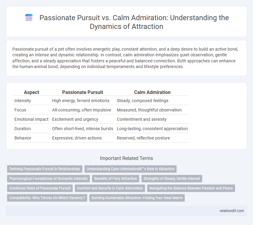 Passionate Pursuit vs. Calm Admiration: Understanding the Dynamics of Attraction