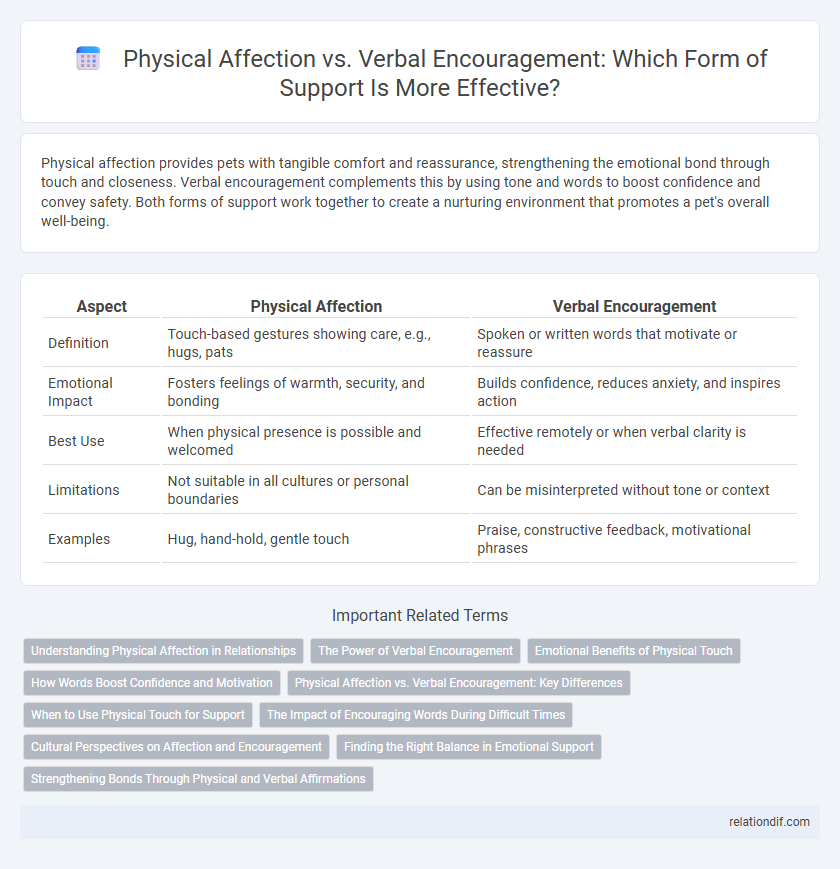 Physical Affection vs. Verbal Encouragement: Which Form of Support Is More Effective?