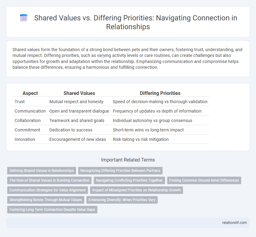 Shared Values vs. Differing Priorities: Navigating Connection in Relationships