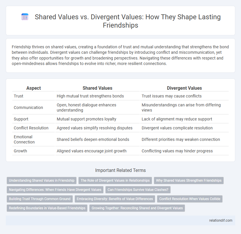 Shared Values vs. Divergent Values: How They Shape Lasting Friendships