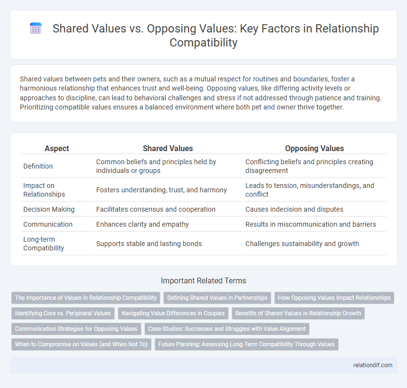 Shared Values vs. Opposing Values: Key Factors in Relationship Compatibility