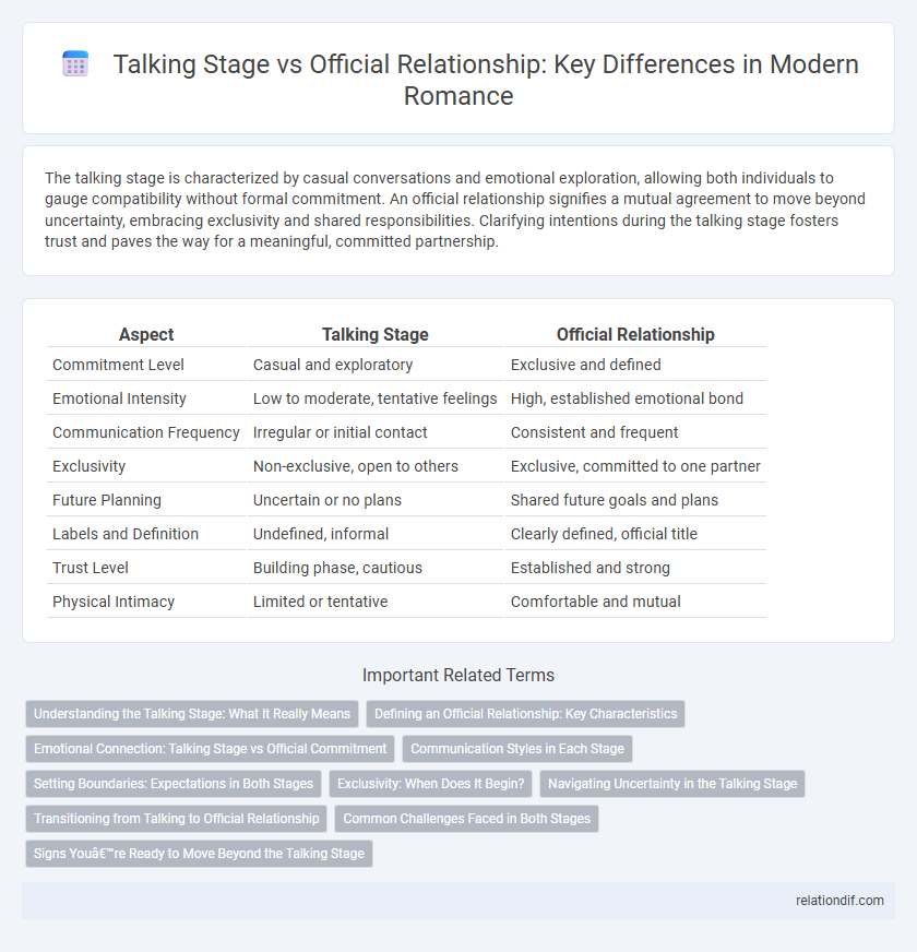 Talking Stage vs Official Relationship: Key Differences in Modern Romance