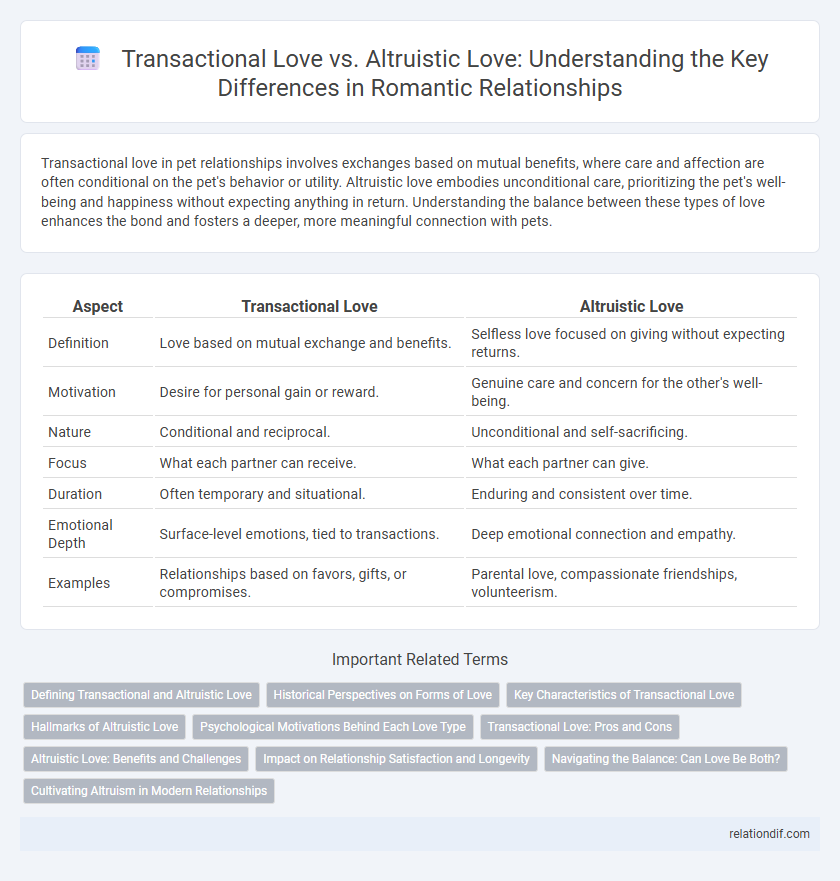 Transactional Love vs. Altruistic Love: Understanding the Key Differences in Romantic Relationships