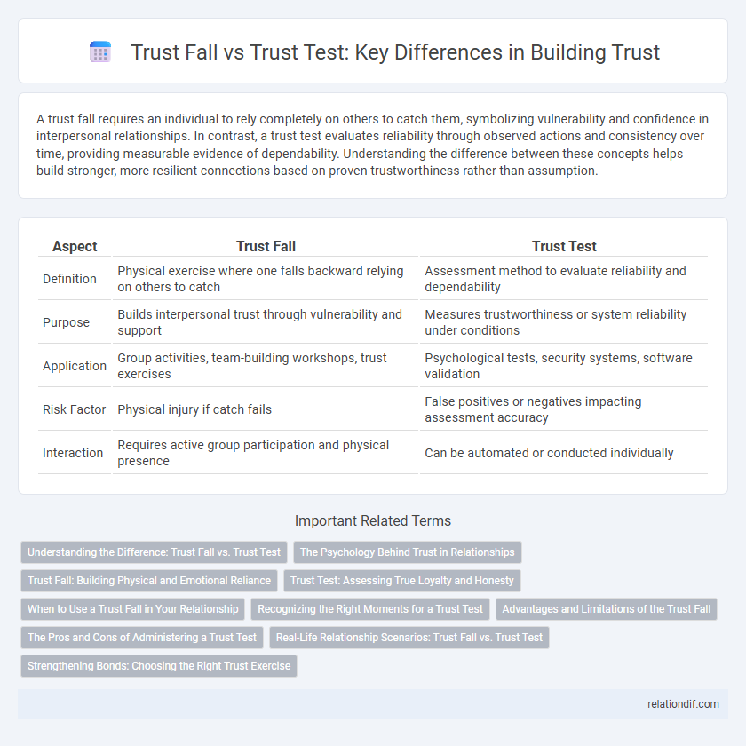 Trust Fall vs Trust Test: Key Differences in Building Trust